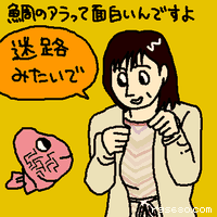 鯛のアラって面白いんですよ。迷路みたいで鯛のアラって面白いんですよ。迷路みたいで