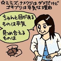 ちゃんと目があるものは平気。見つめ合えるものは。
