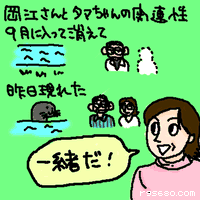 一緒だ!