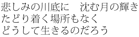 ߂݂̐Ɂ@ތ̋P^ǂ蒅ꏊȂ^ǂĐ̂낤