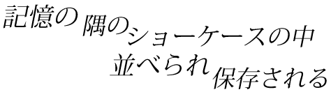 Ĺ@̃V[P[X̒^ׂ@ۑ